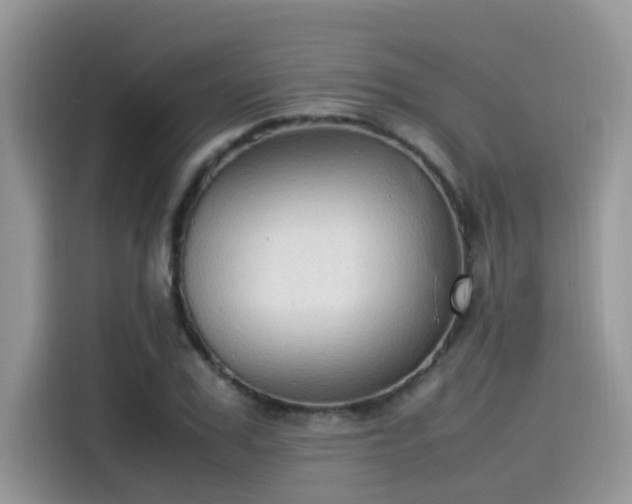 X0000115540979200911131541