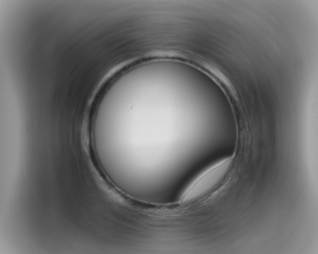 X0000115540984200911131541