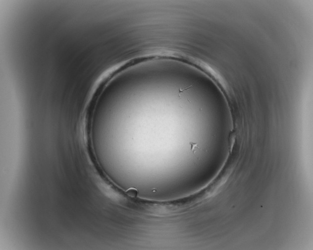 X0000115540987200911131540