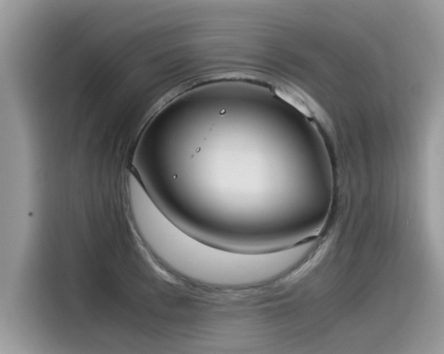 X0000115540993200911131540