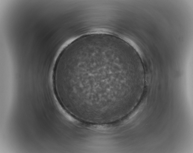 X0000115540995200911131540