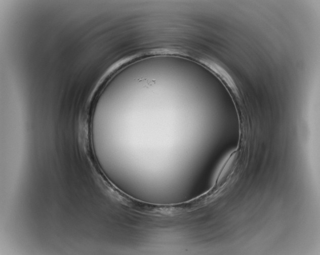 X0000115541000200911131540