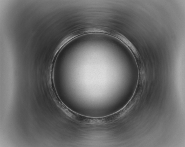 X0000115541002200911131540