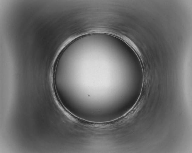 X0000115541005200911131540