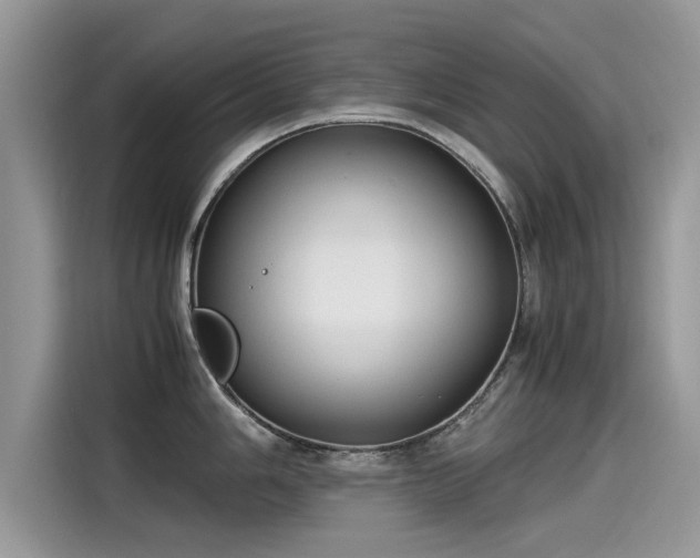 X0000115541006200911131540