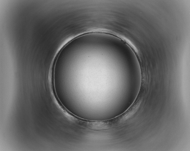 X0000115541007200911131540