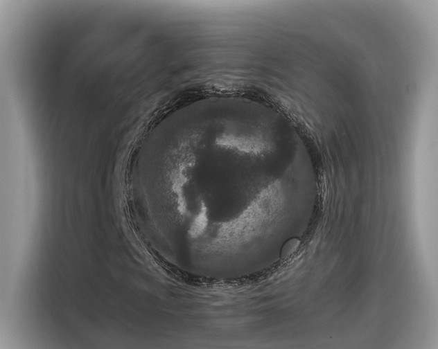 X0000115541009200911131540