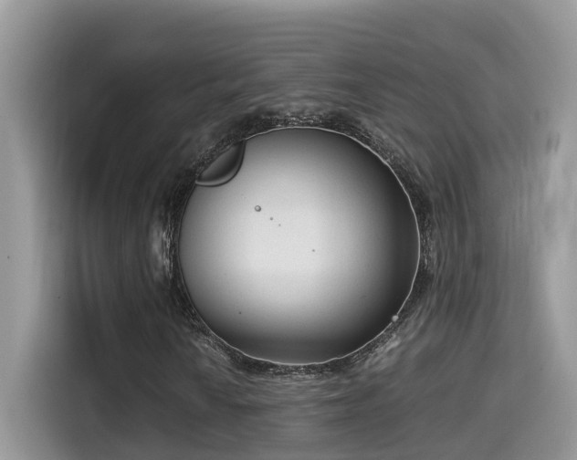 X0000115541010200911131540