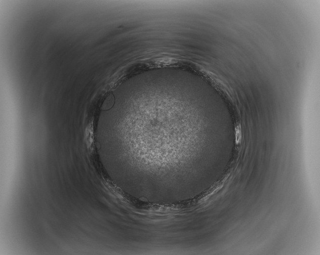 X0000115541011200911131540