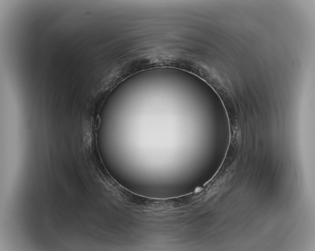 X0000115541012200911131540