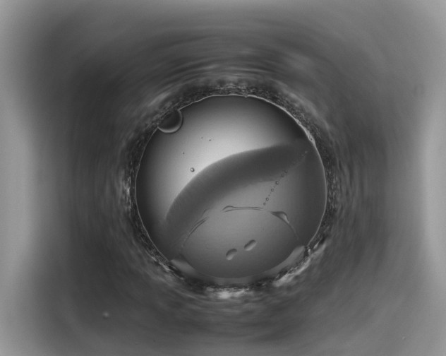 X0000115541013200911131540