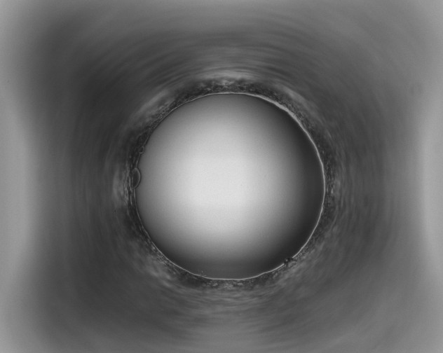 X0000115541014200911131540