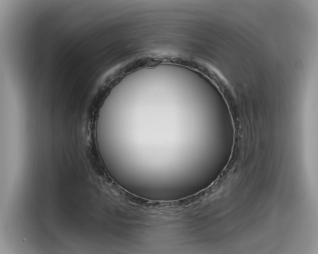 X0000115541016200911131540