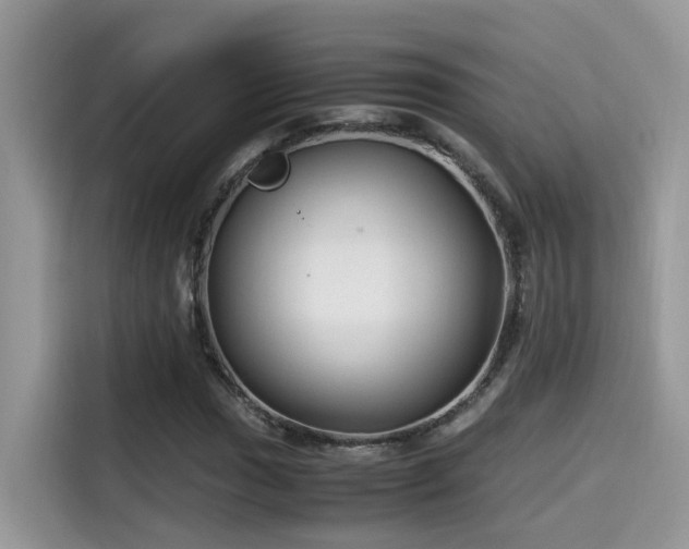 X0000115541017200911131540