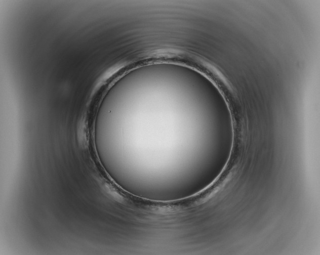 X0000115541018200911131540