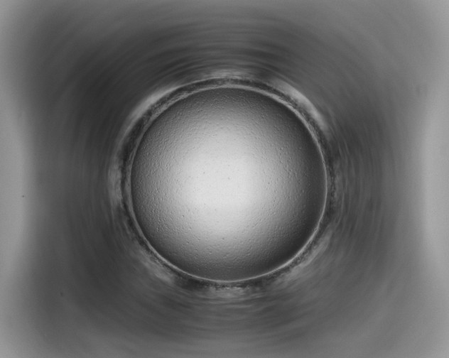 X0000115541019200911131540