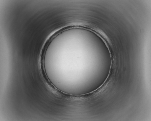 X0000115541020200911131540