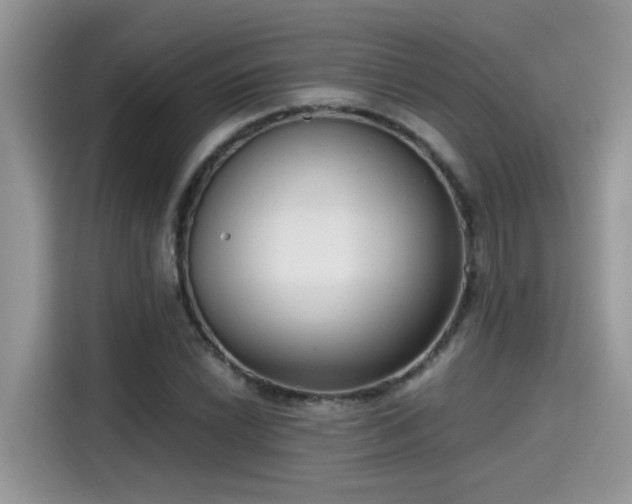 X0000115541022200911131540