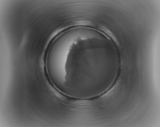 X0000115541024200911131540