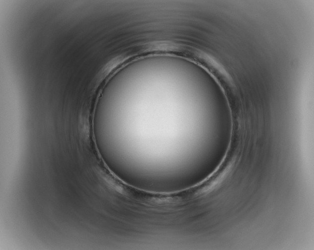 X0000115541025200911131540