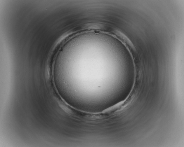 X0000115541027200911131540