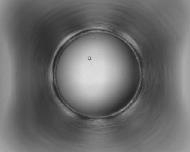 X0000115541028200911131540