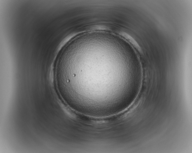 X0000115541031200911131540