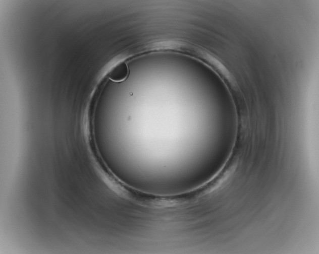 X0000115541034200911131540