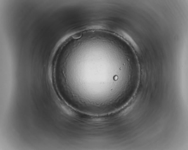 X0000115541035200911131540