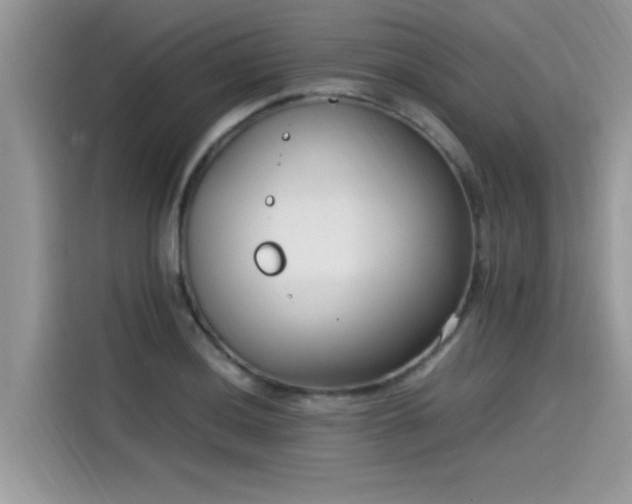 X0000115541036200911131540