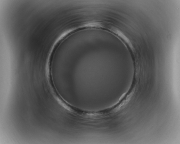 X0000115541037200911131540