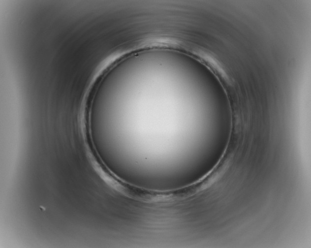 X0000115541038200911131540