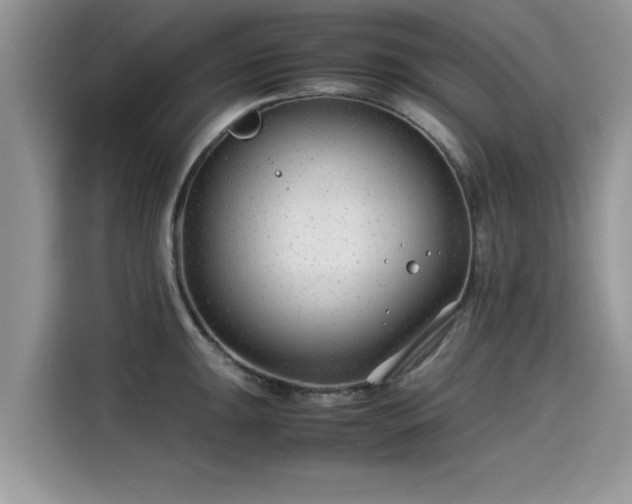 X0000115541047200911131540