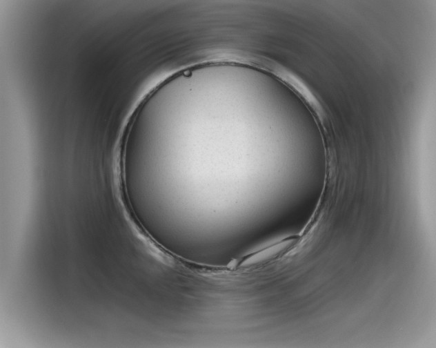 X0000115541048200911131540