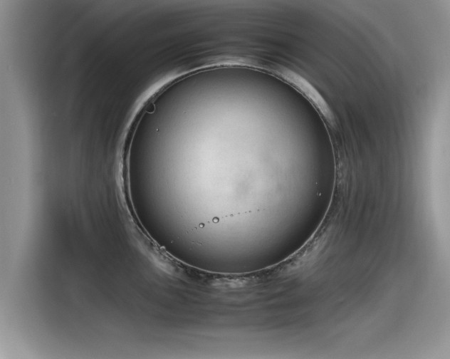 X0000115541051200911131540