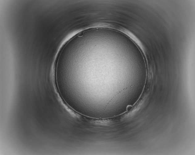 X0000115541053200911131540