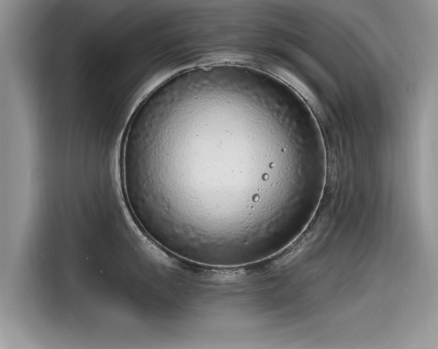 X0000115541055200911131540