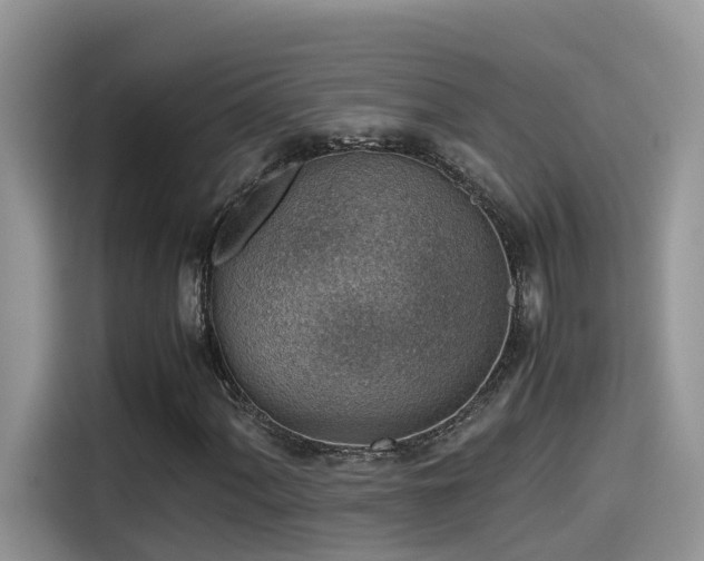 X0000115541060200911131540