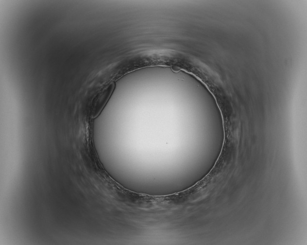 X0000115541061200911131540