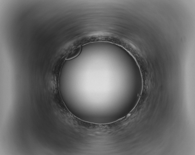 X0000115541062200911131539