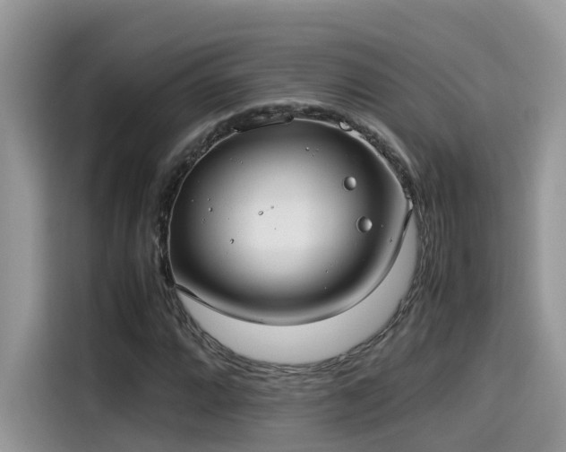 X0000115541064200911131539