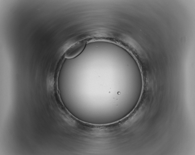 X0000115541065200911131539