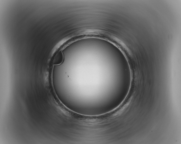 X0000115541066200911131539