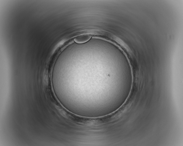 X0000115541067200911131539