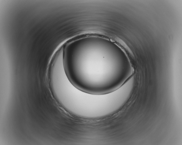 X0000115541068200911131539