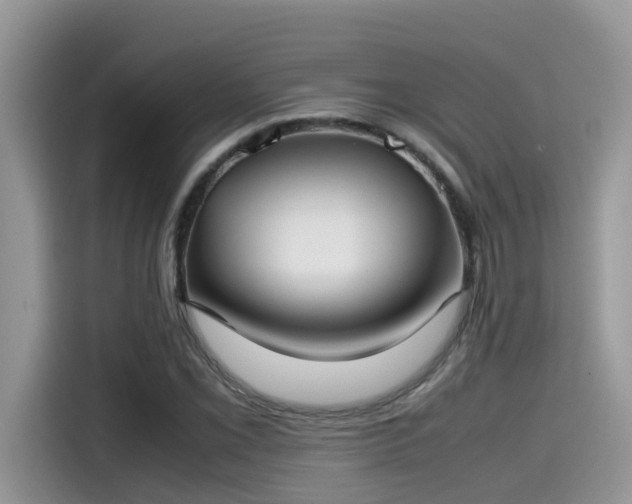 X0000115541069200911131539