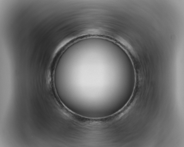 X0000115541070200911131539