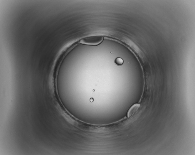 X0000115541072200911131539