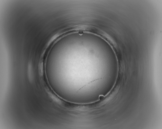 X0000115541075200911131539