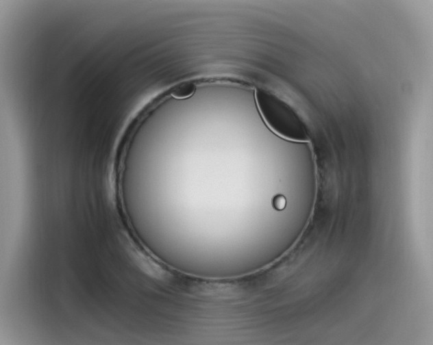 X0000115541076200911131539